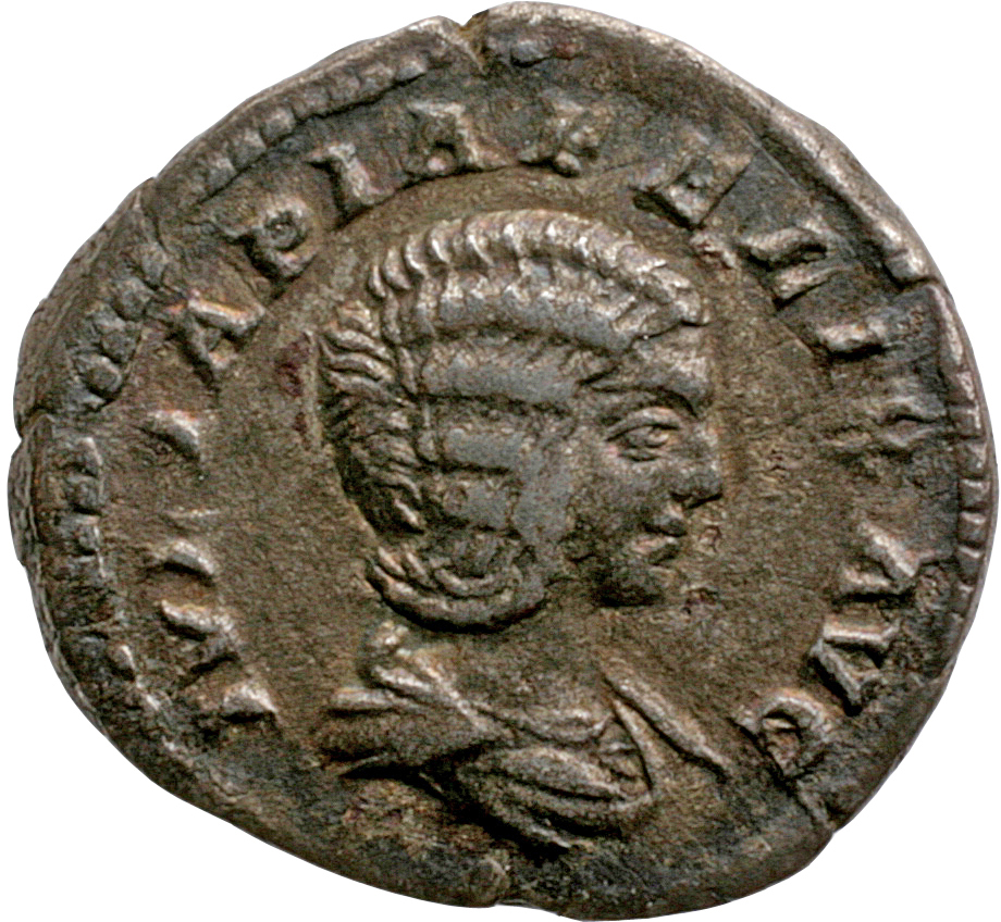 RIC IV Caracalla 373A Caracalla obverse, Bust of Julia Domna, hair elaborately waved in ridges and turned up low at the ba...