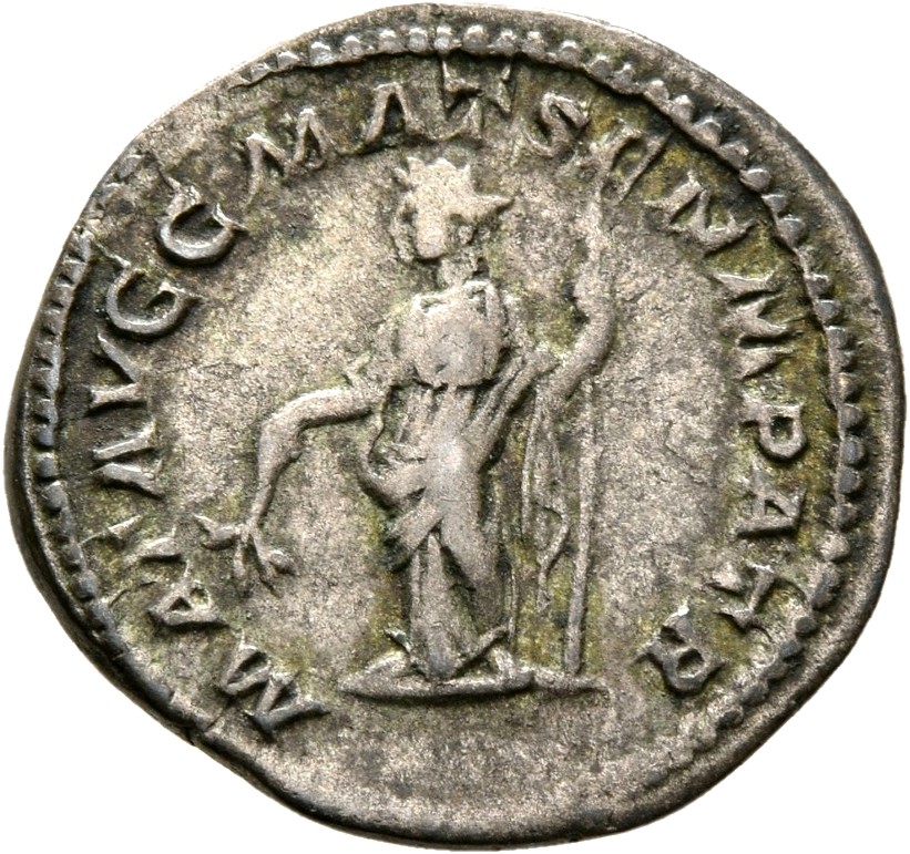 RIC IV Caracalla 380 (denarius) Caracalla reverse, Julia Domna, draped, standing left, holding branch in extended right ha...