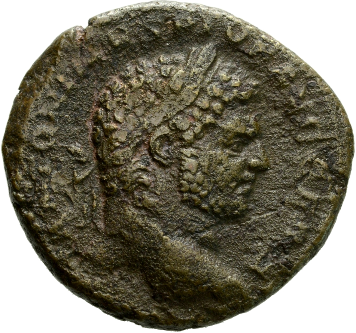 RIC IV Caracalla 533 Caracalla obverse, Head of Caracalla, laureate, right