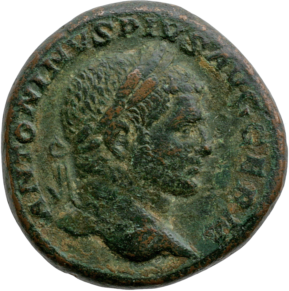 RIC IV Caracalla 559A Caracalla obverse, Head of Caracalla, laureate, right