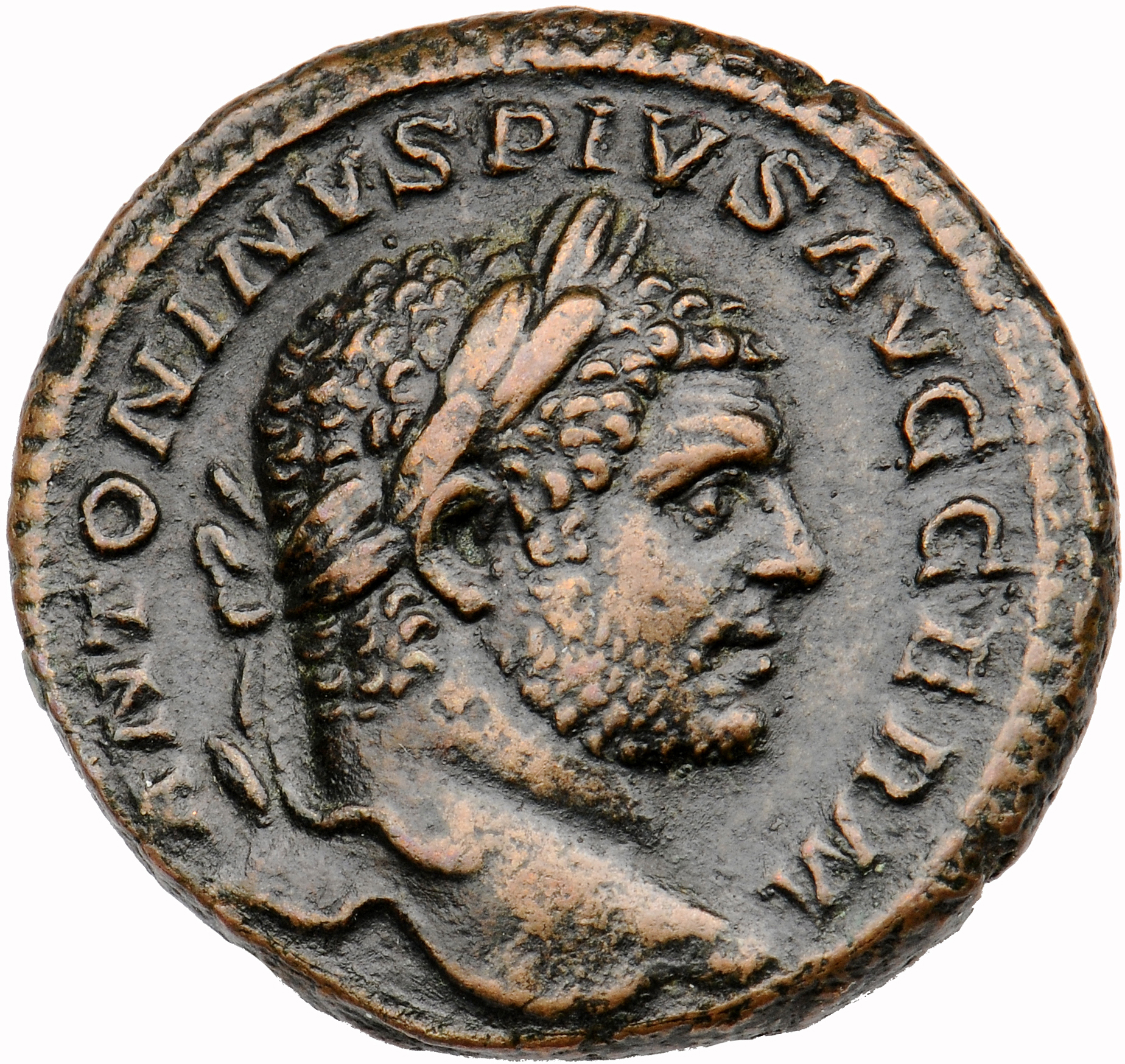 RIC IV Caracalla 568B Caracalla obverse, Head of Caracalla, laureate, right