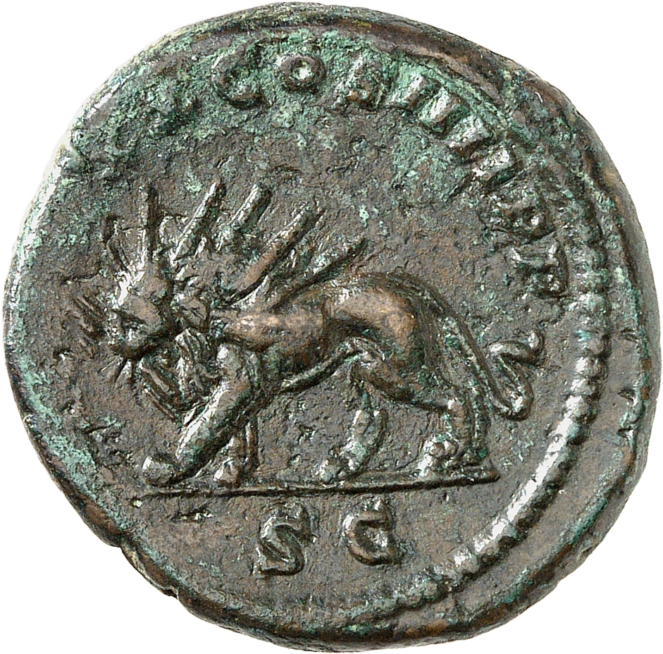 RIC IV Caracalla 571A Caracalla reverse, Lion, radiate, walking left, holding thunderbolt in its jaws
