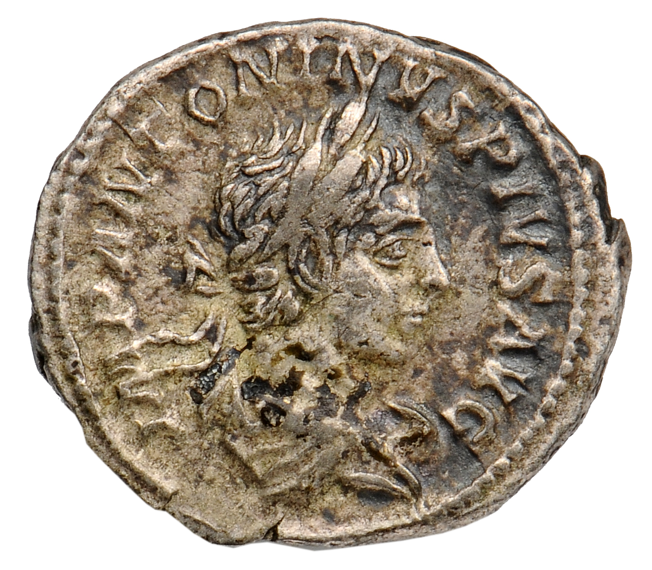 RIC IV Elagabalus 83A Elagabalus obverse, Bust of Elagabalus, laureate, draped, right