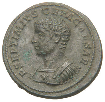 RIC IV Geta 130b (as) Geta obverse, Bust of Geta, bare-headed, cuirassed, left