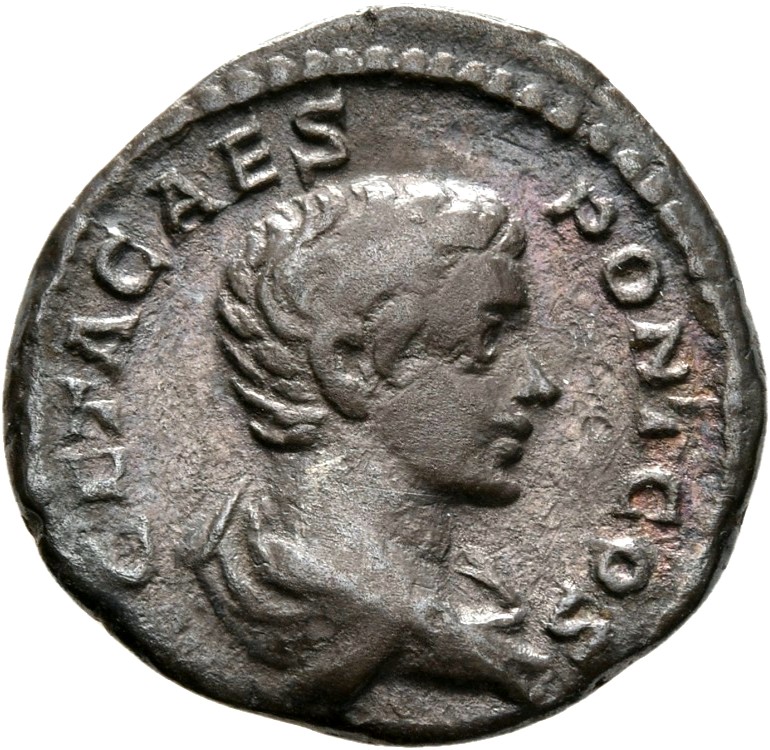 RIC IV Geta 38B Geta obverse, Bust of Geta, bare-headed, draped, right