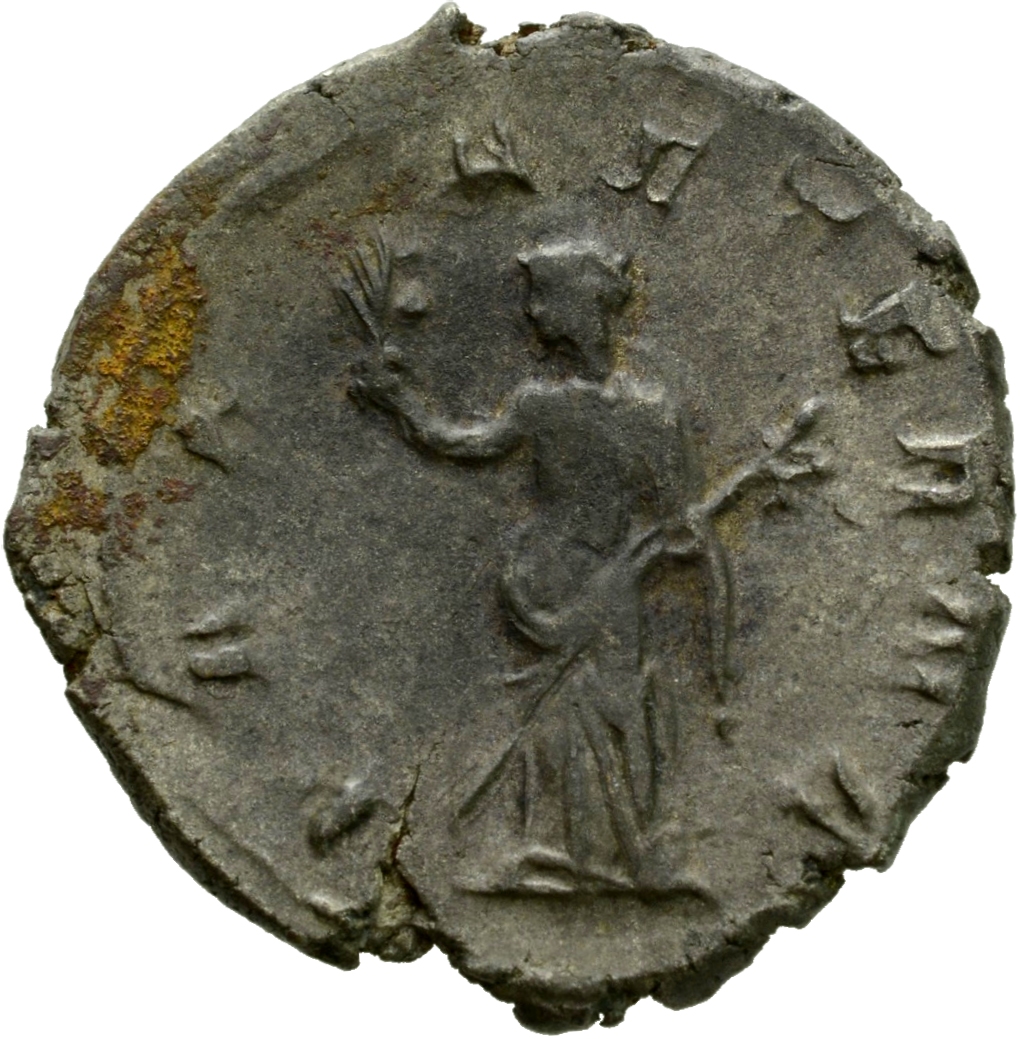 RIC IV Gordian III 237 Gordian III reverse, Pax, draped, advancing left, holding branch in extended right hand and sceptre...