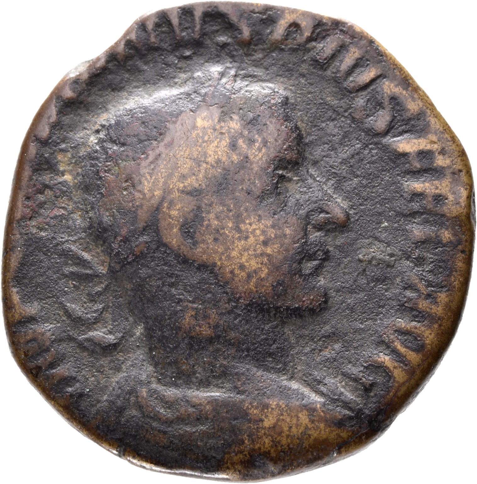 RIC IV Gordian III 337A Gordian III obverse, Bust of Gordian III, laureate, draped, cuirassed, right