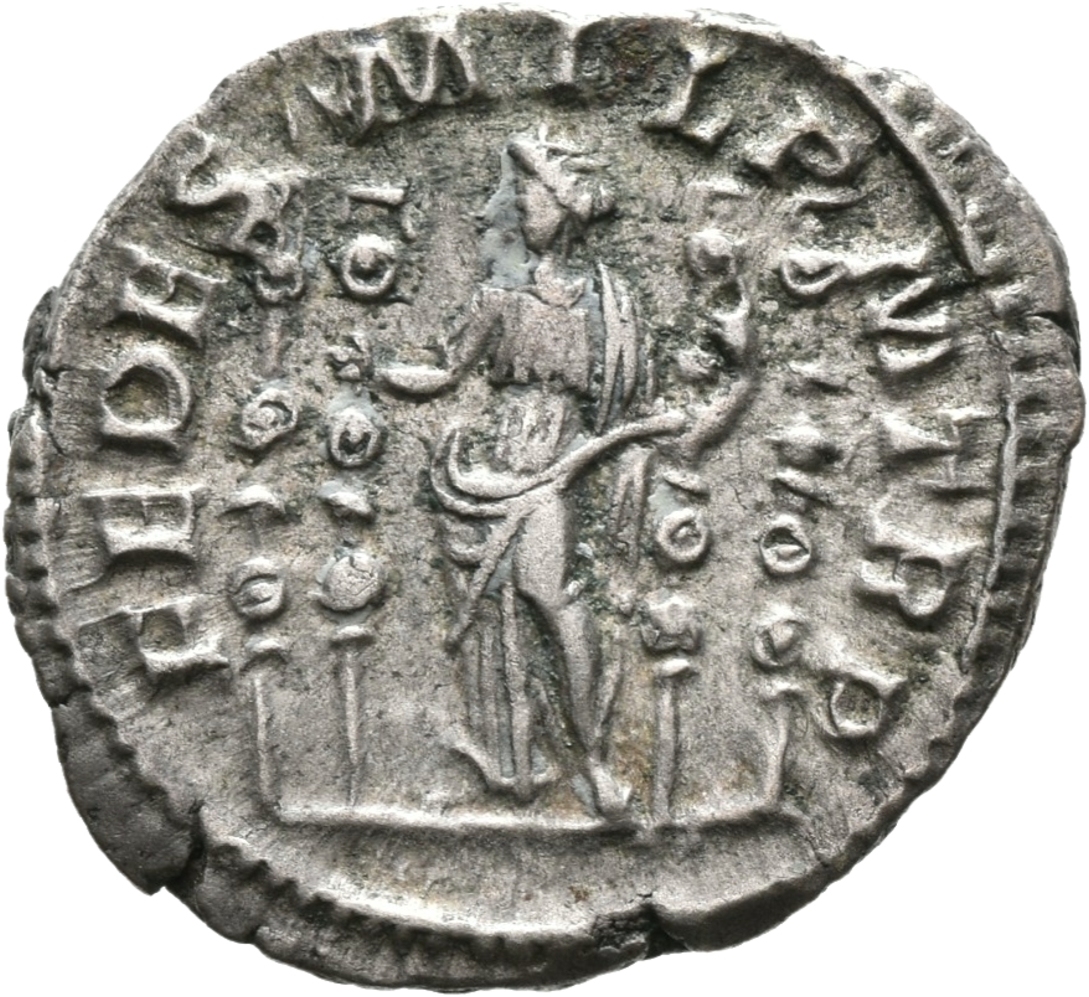 RIC IV Macrinus 1 Macrinus reverse — Fides, standing front, holding two standards; a standard on each side