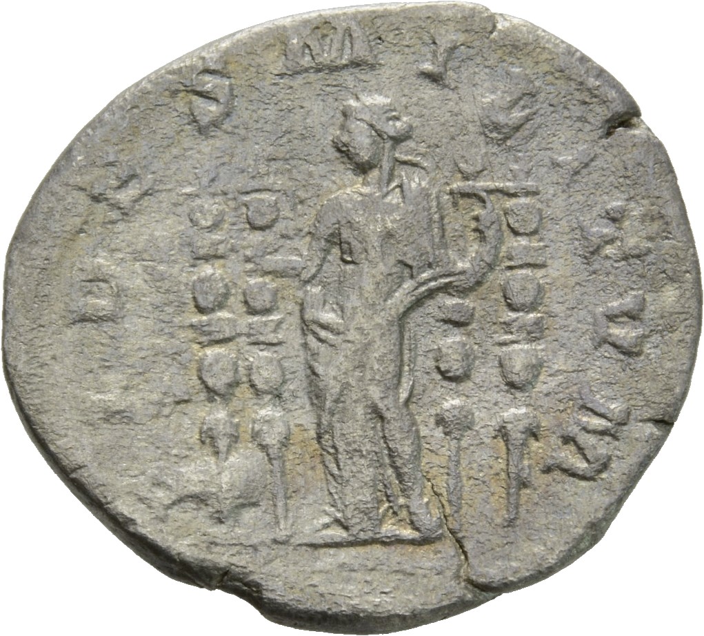 RIC IV Macrinus 69f Macrinus reverse, Fides, standing left, holding standard in each hand; a standard on each side