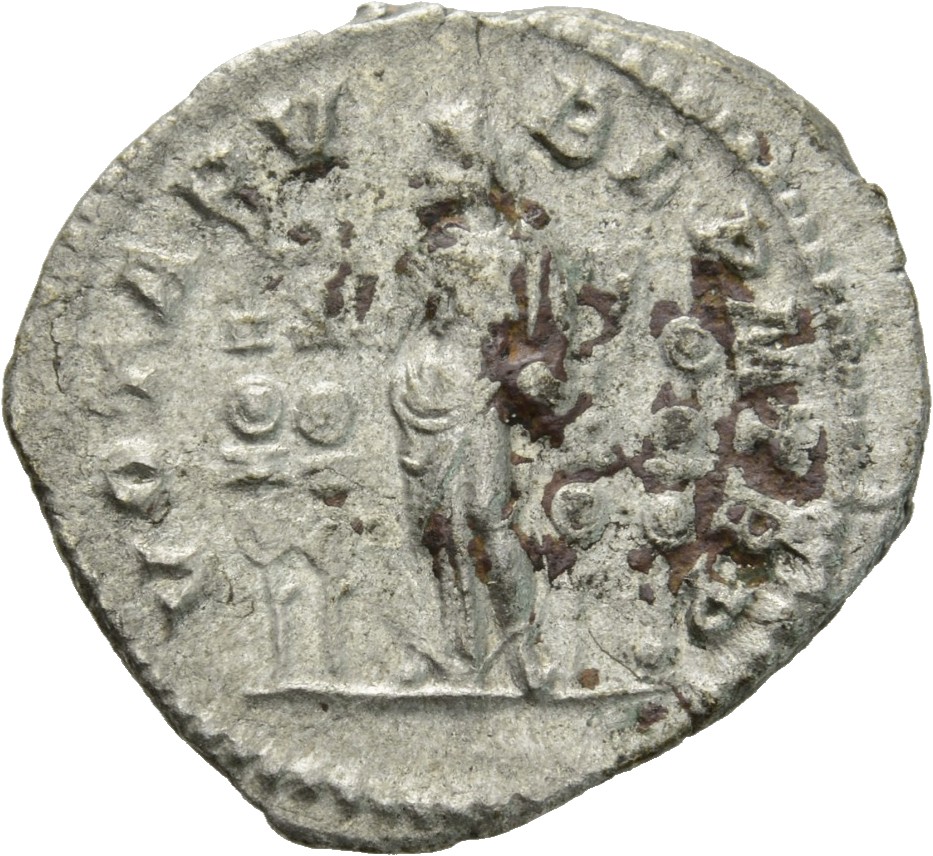 RIC IV Macrinus 8b Macrinus reverse, Fides, standing left, holding standard in each hand; a standard on each side