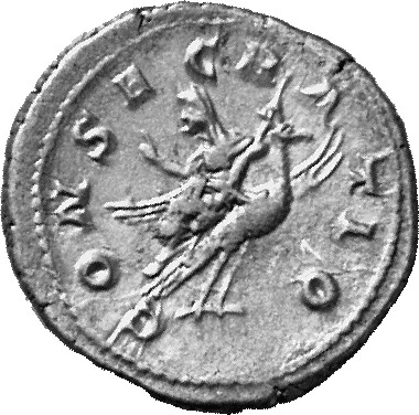 RIC IV Caecilia Paulina 2 (denarius) Maximinus Thrax reverse, Paulina, draped, holding sceptre, seated left on peacock fly...