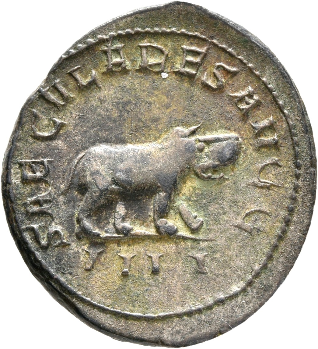 RIC IV Philip I 116 Philip The Arab reverse, Hippopotamus, standing right
