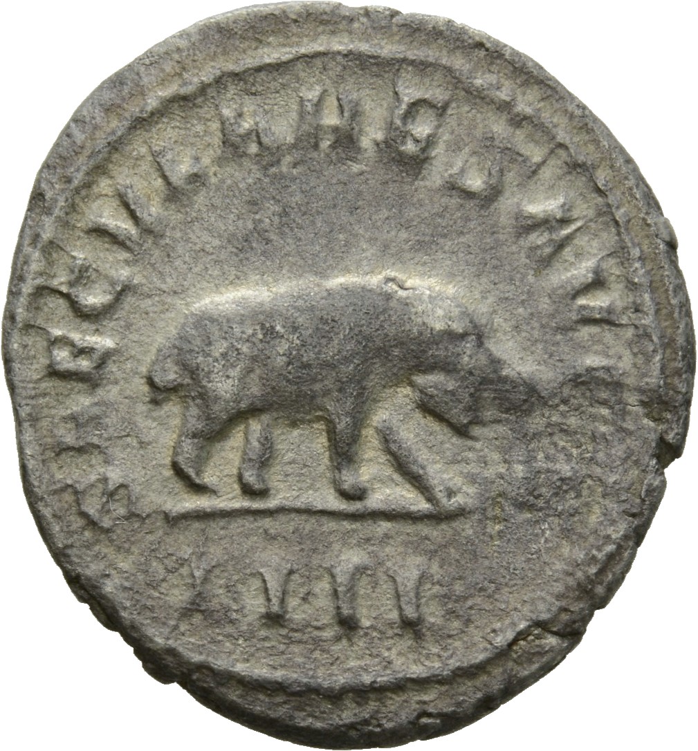 RIC IV Philip I 116B Philip The Arab reverse, Hippopotamus, standing right