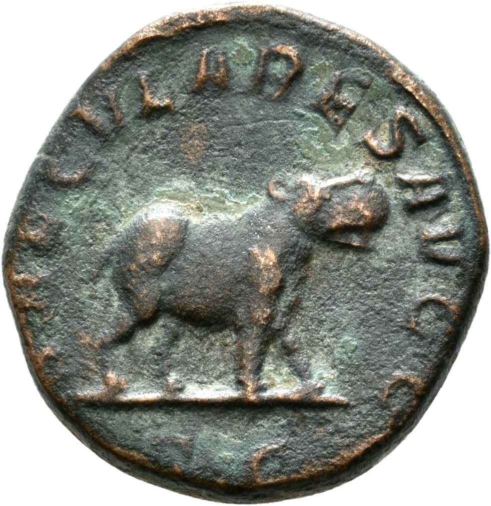 RIC IV Philip I 200 Philip The Arab reverse, Hippopotamus, standing right