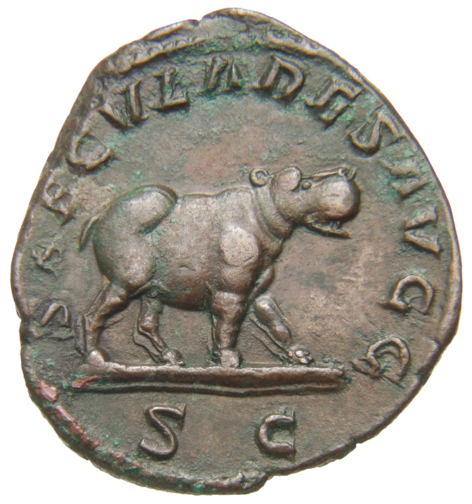 RIC IV Philip I 200A Philip The Arab reverse, Hippopotamus, standing right