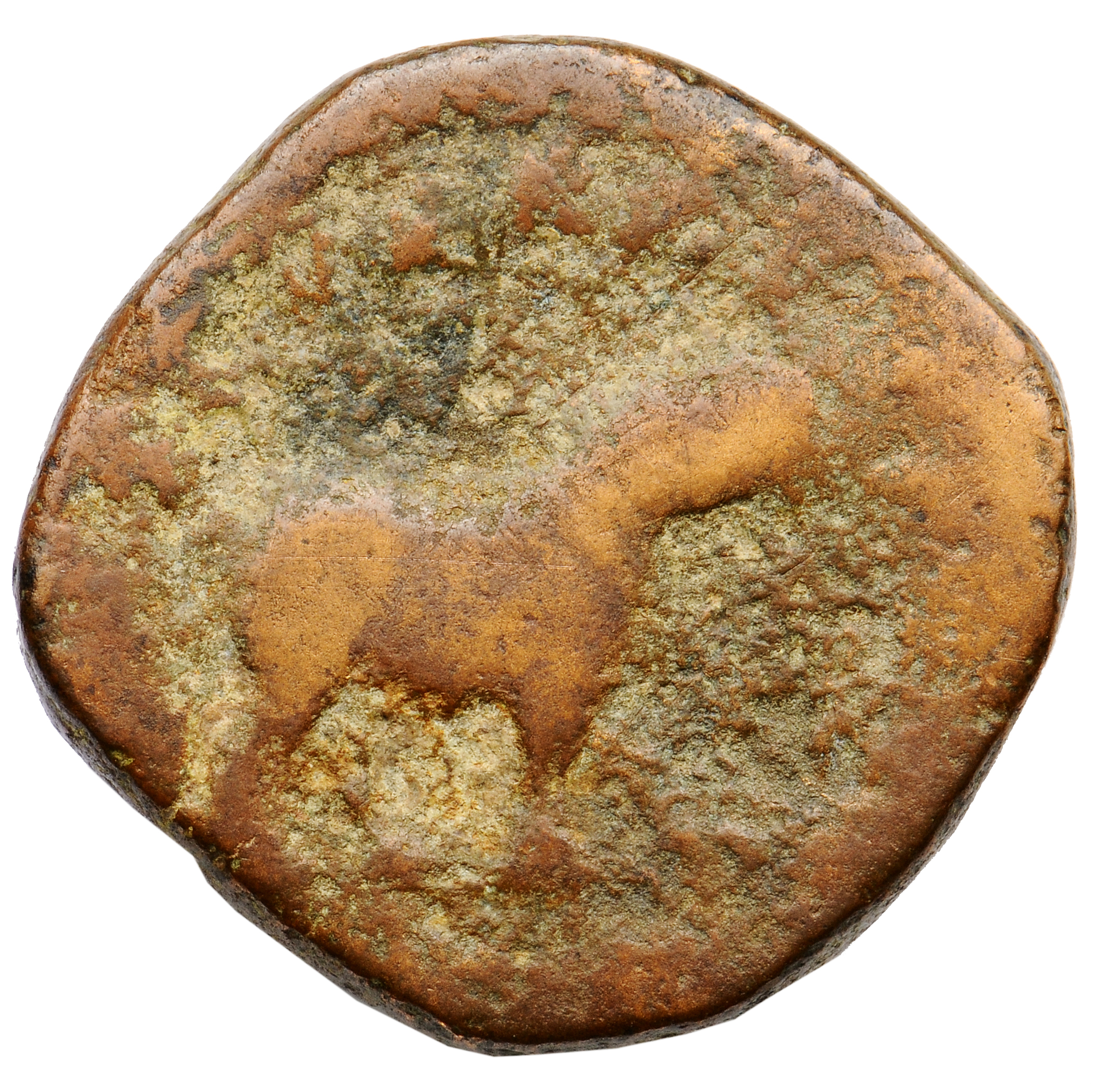RIC IV Philip I 200A Philip The Arab reverse, Hippopotamus, standing right