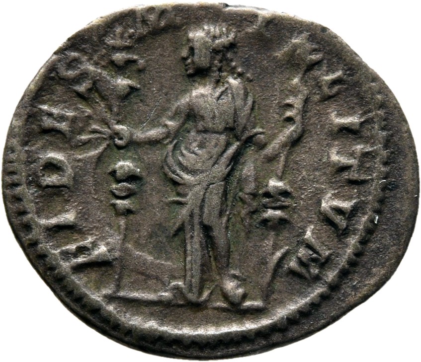 RIC IV Severus Alexander 139c Severus Alexander reverse — Fides, draped, standing left, holding two standards