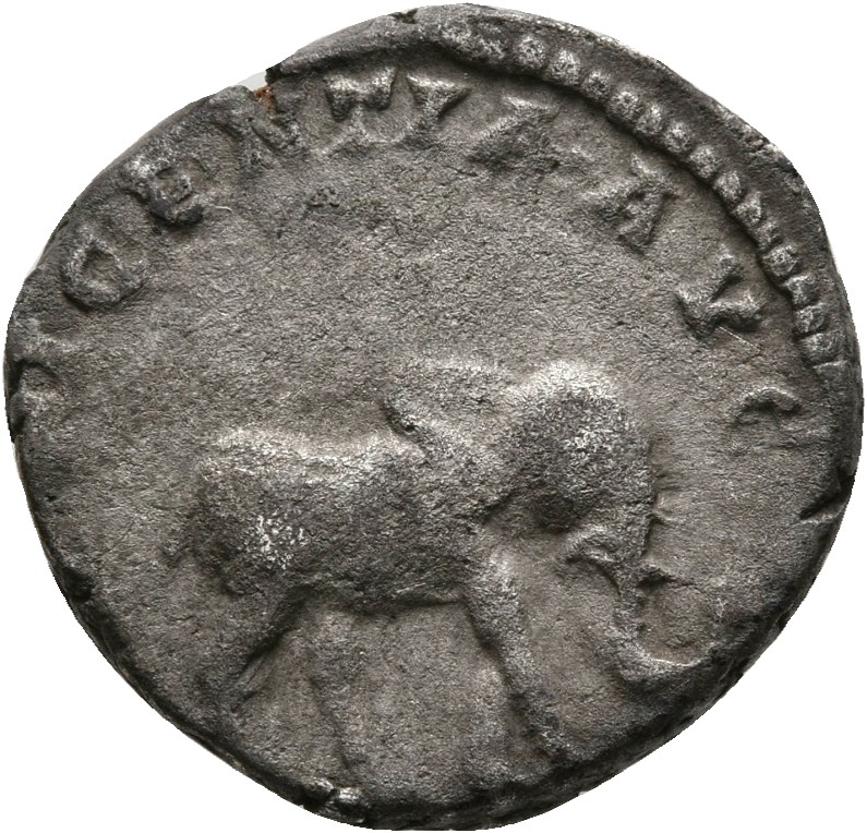 RIC IV Septimius Severus 100 Septimius Severus reverse, Elephant, sometimes cuirassed, walking right