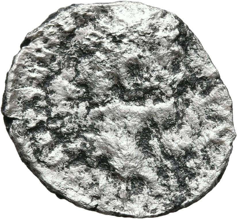 Septimius Severus obverse — Head of Septimius Severus, laureate, right