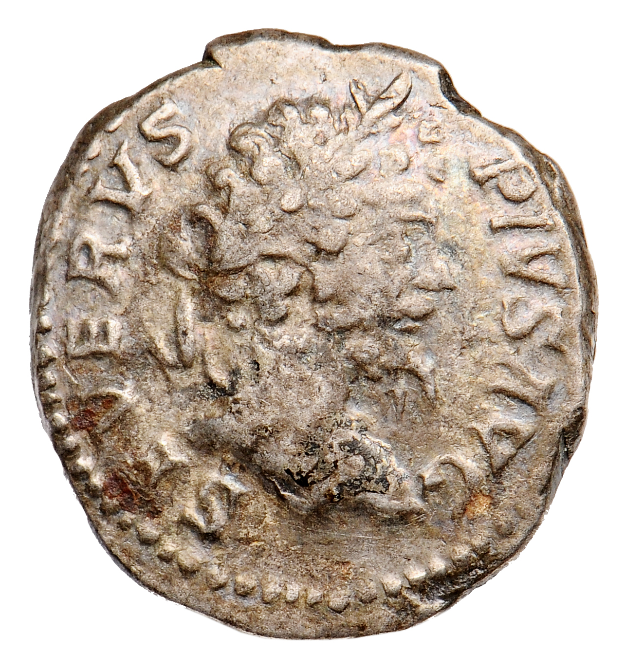 RIC IV Septimius Severus 195 Septimius Severus obverse, Head of Septimius Severus, laureate, right
