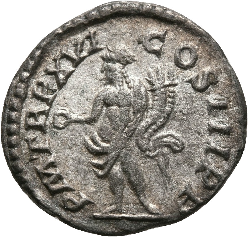 RIC IV Septimius Severus 220 Septimius Severus reverse, Genius, naked, standing left, sacrificing out of patera in right h...