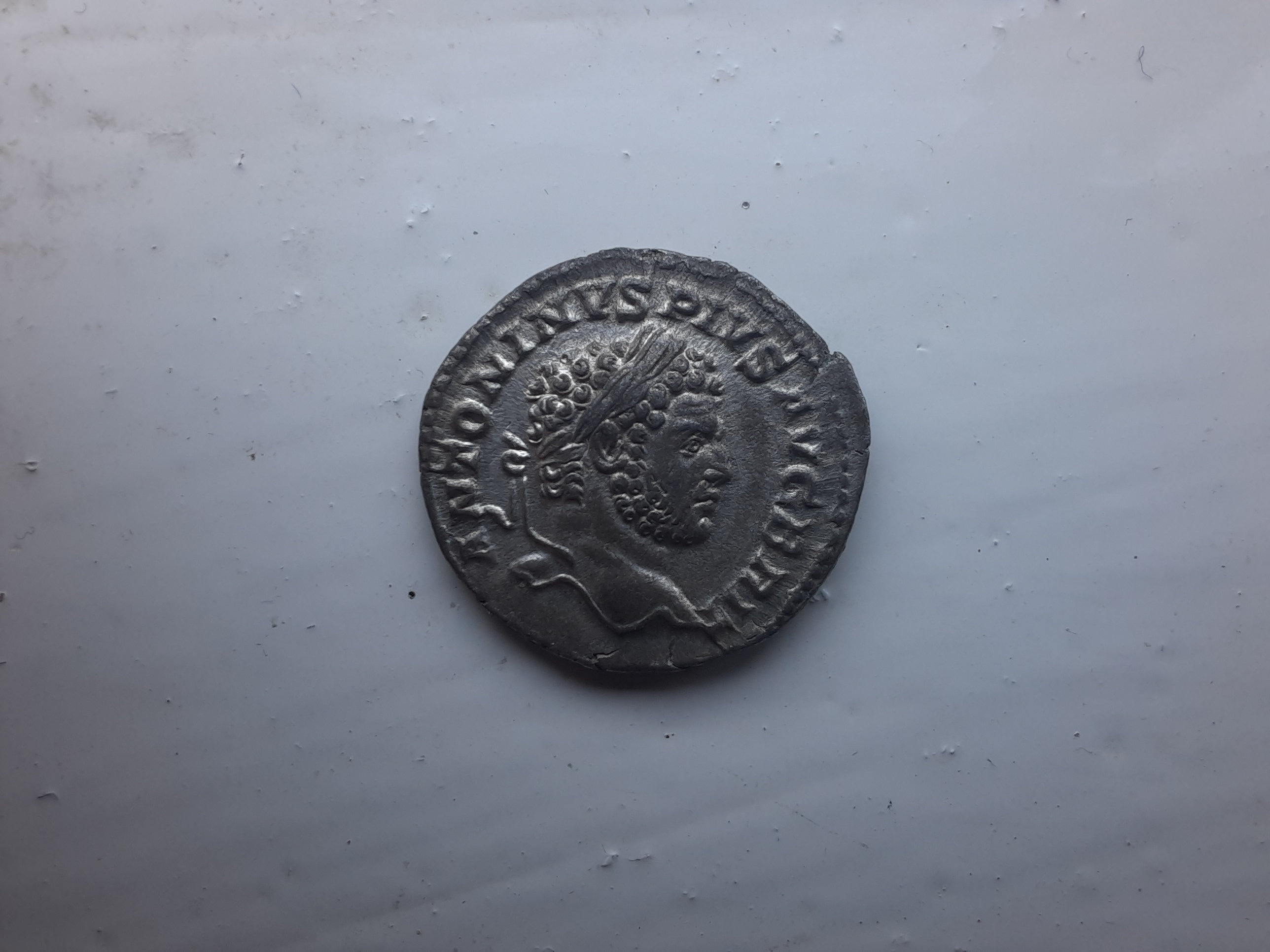 RIC IV Septimius Severus 227 Septimius Severus obverse, Head of Septimius Severus, laureate, right
