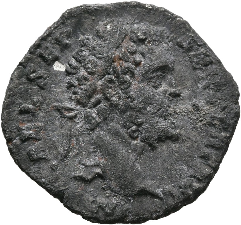 Septimius Severus obverse — Head of Septimius Severus, laureate, right