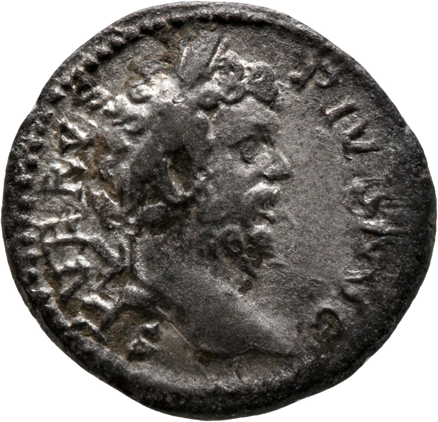 RIC IV Septimius Severus 287 Septimius Severus obverse, Head of Septimius Severus, laureate, right