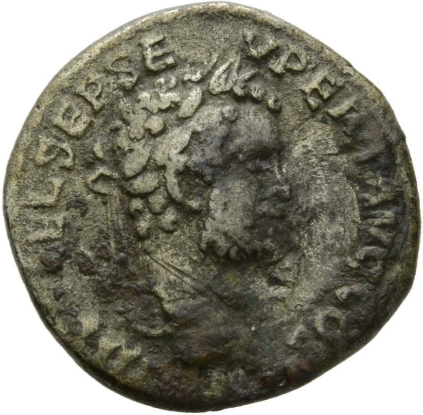 Septimius Severus obverse — Head of Septimius Severus, laureate, right