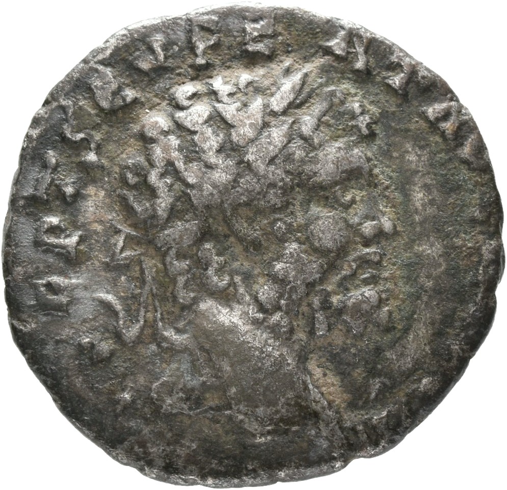 Septimius Severus obverse — Head of Septimius Severus, laureate, right