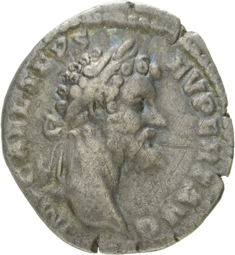 Septimius Severus obverse — Head of Septimius Severus, laureate, right