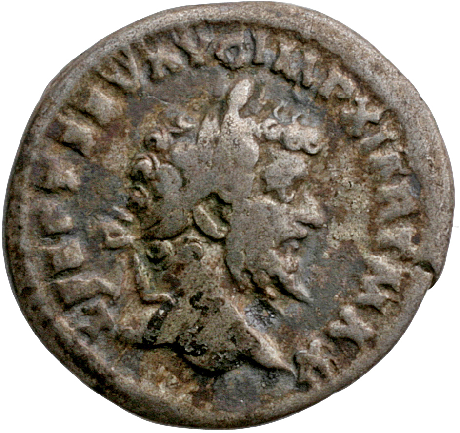 Septimius Severus obverse — Head of Septimius Severus, laureate, right