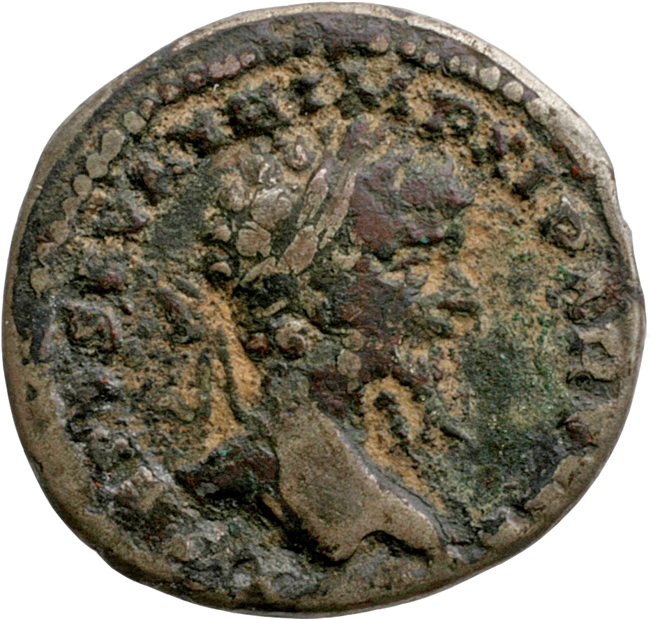 Septimius Severus obverse — Head of Septimius Severus, laureate, right