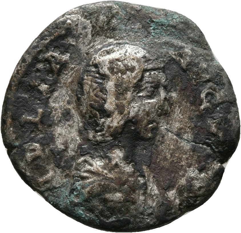 RIC IV Septimius Severus 583 Septimius Severus obverse, Bust of Julia Domna, hair waved and coiled at back, draped, right