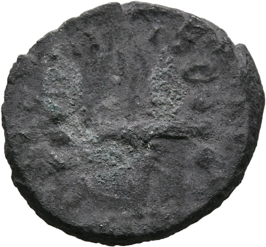 RIC IV Septimius Severus 6 Septimius Severus reverse, Legionary eagle, facing left, between two standards