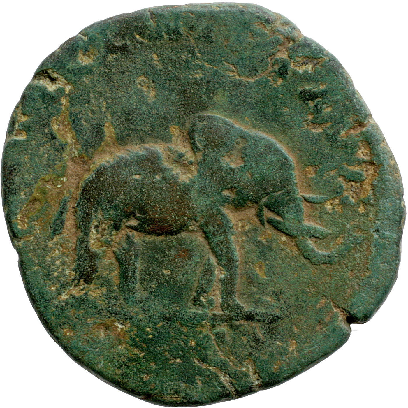 RIC IV Septimius Severus 721b Septimius Severus reverse, Elephant, walking right