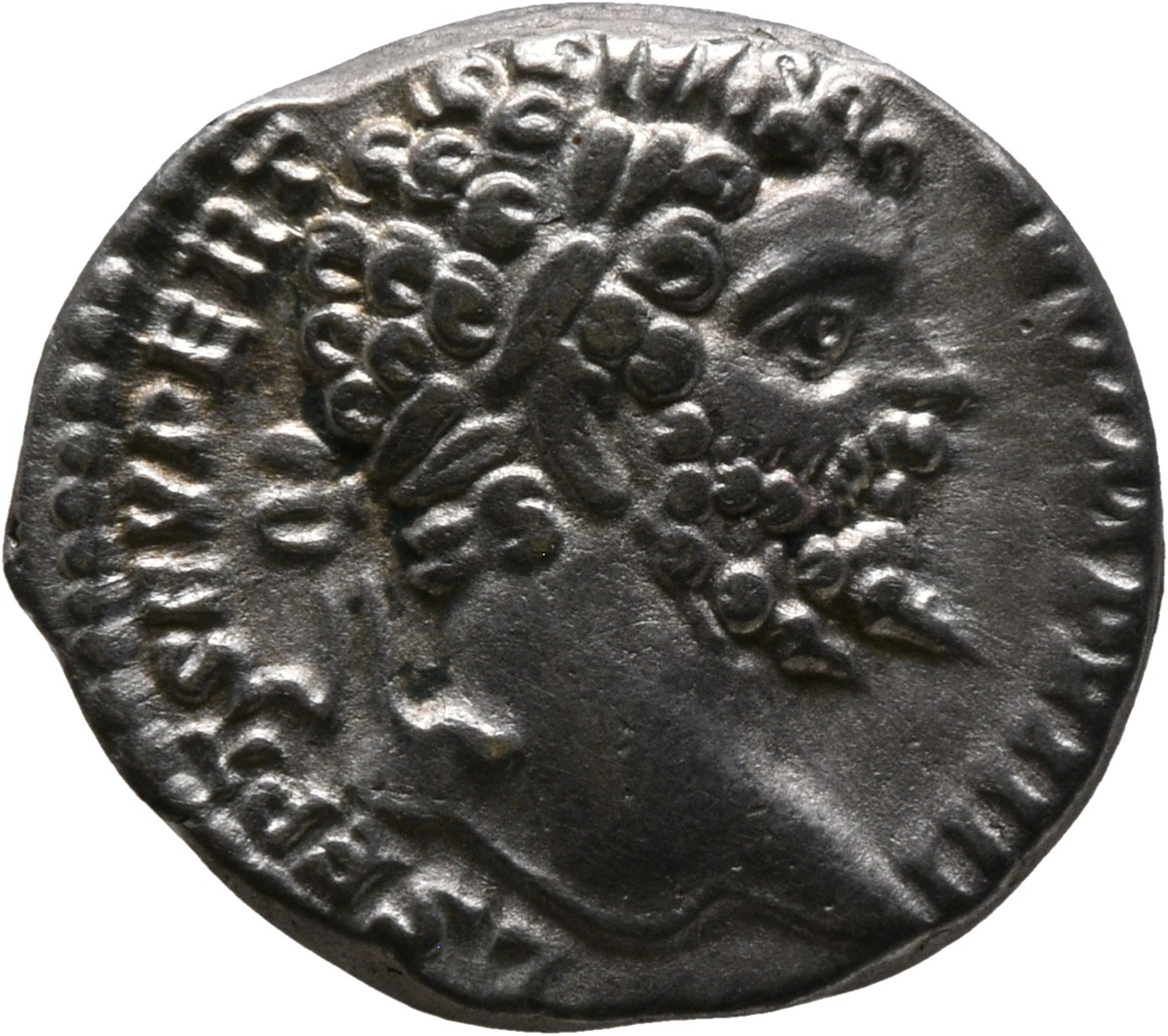 RIC IV Septimius Severus 97 (denarius) Septimius Severus obverse, Head of Septimius Severus, laureate, right
