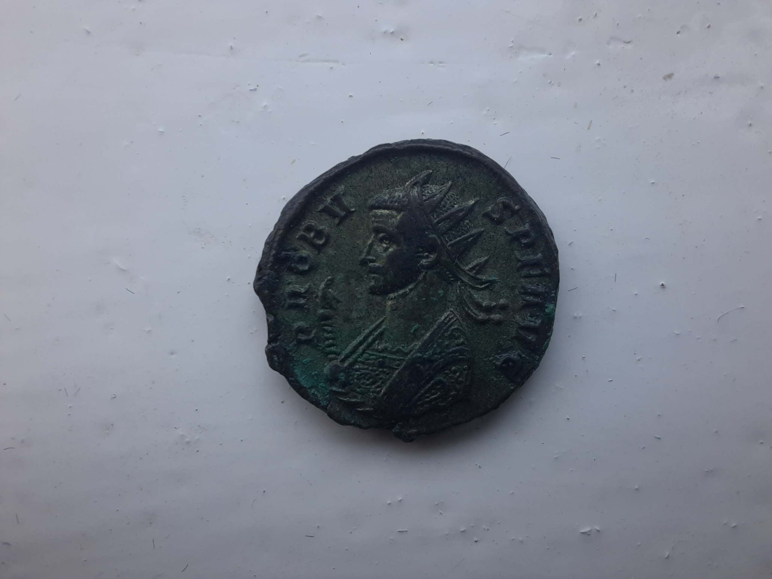 RIC V Carus 203 Carus obverse — Bust of Carinus, laureate, draped, right