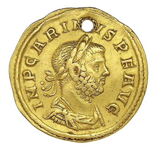 RIC V Carus 233 Carinus obverse, Bust of Carinus, laureate, draped, right, or bust of Carinus, laureate, cuirassed, right