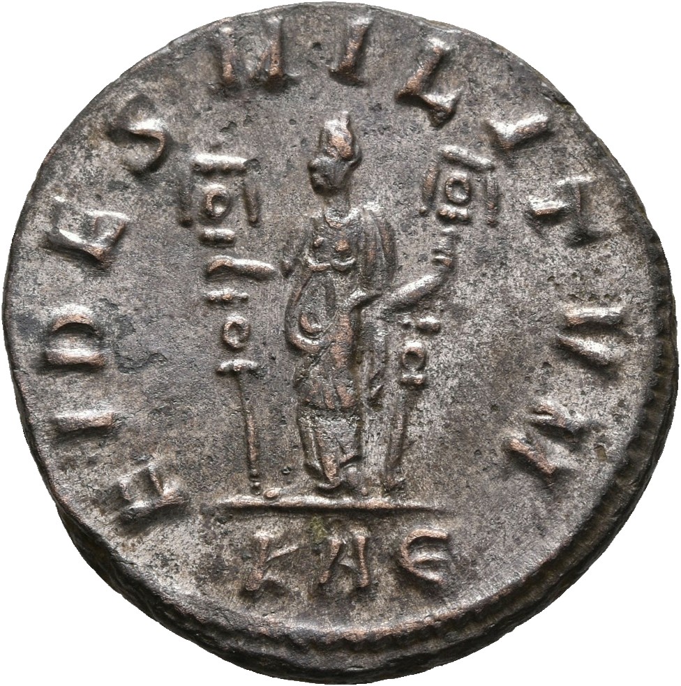 RIC V Carus 252 Carinus reverse — Fides, draped, standing left, holding two ensigns