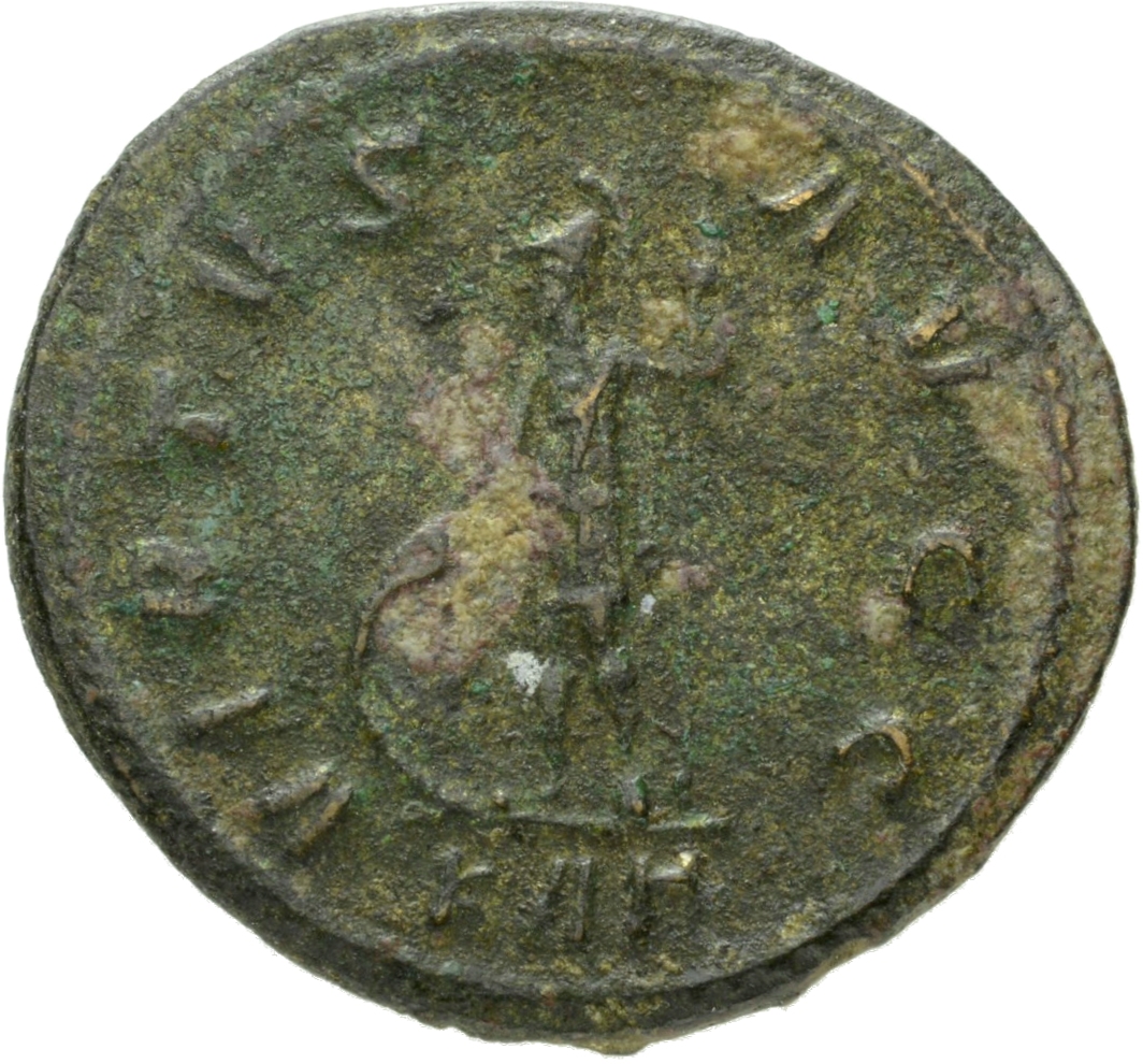 RIC V Carus 46 Carus reverse, Soldier, draped, cuirassed, standing left, leaning on shield with right hand and holding spe...