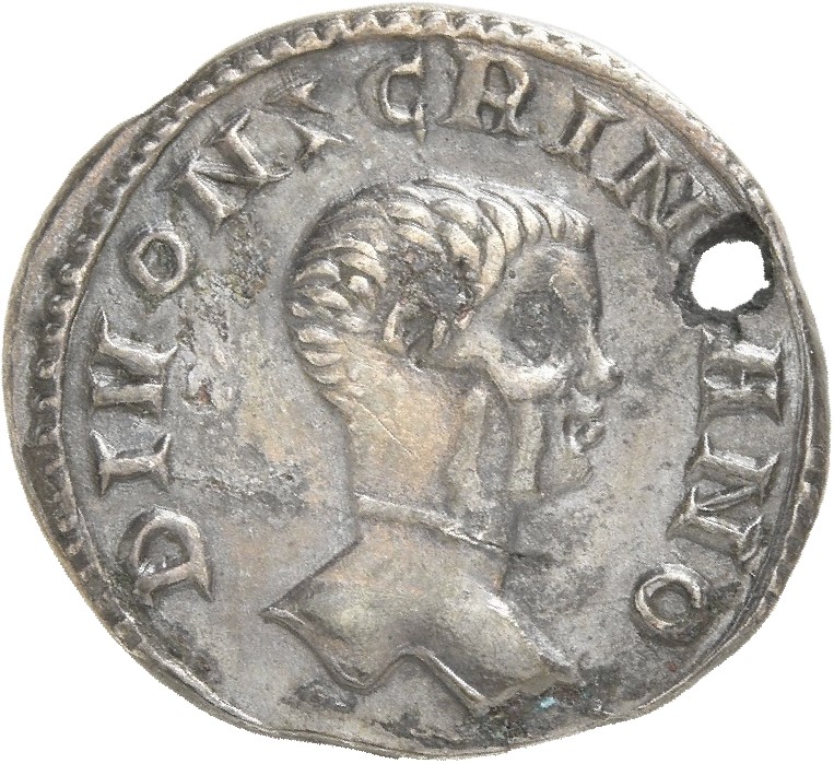 RIC V Carus 471 Carinus obverse, Head of Nigrinian, right