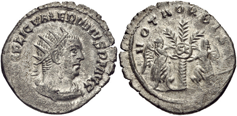 RIC V Claudius Gothicus 295 Constantine I obverse — Head of Claudius Gothicus, veiled, laureate, right