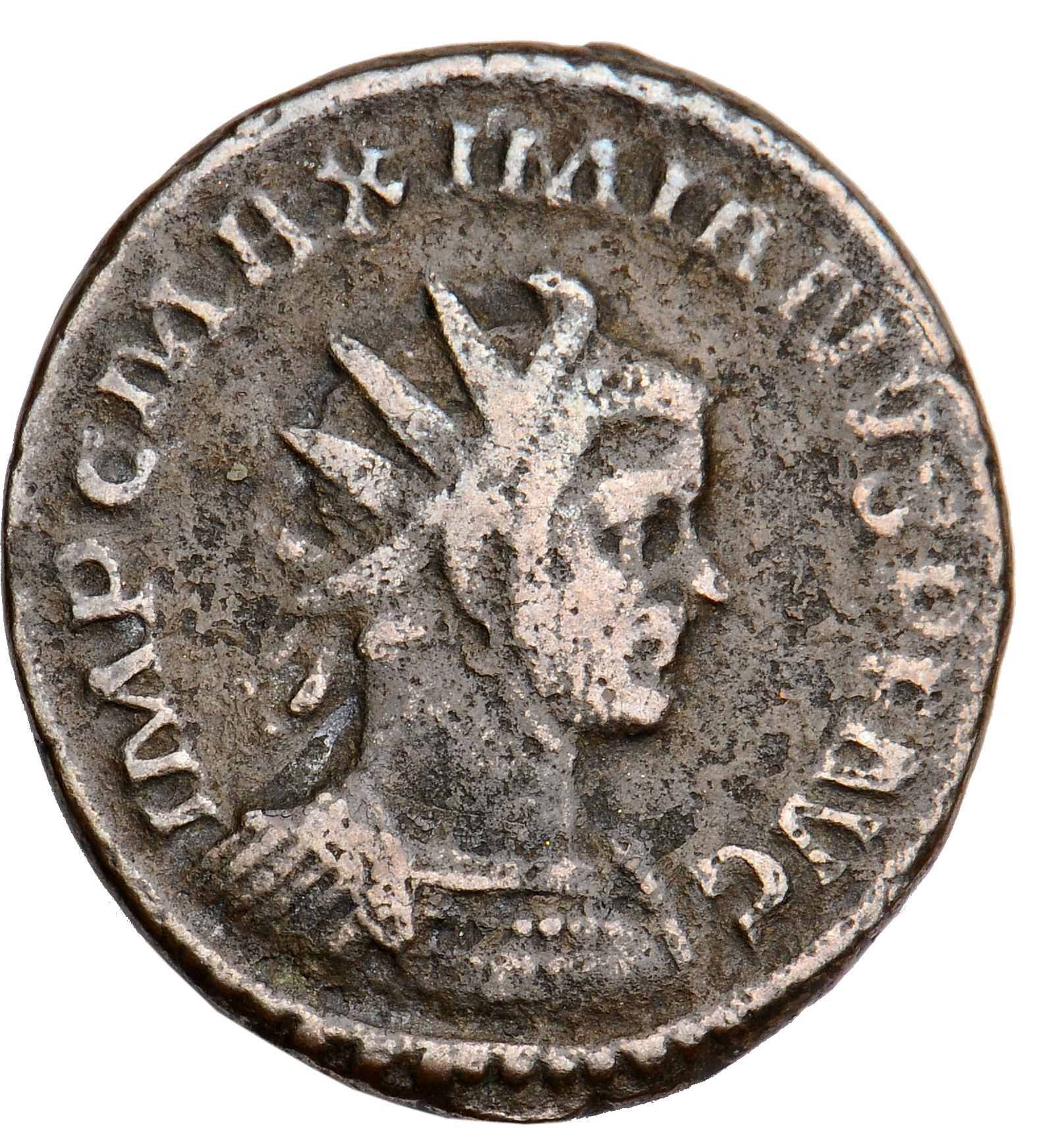 RIC V Diocletian 365 Maximian obverse, Bust of Maximian, radiate, draped, right, or bust of Maximian, radiate, draped, cui...