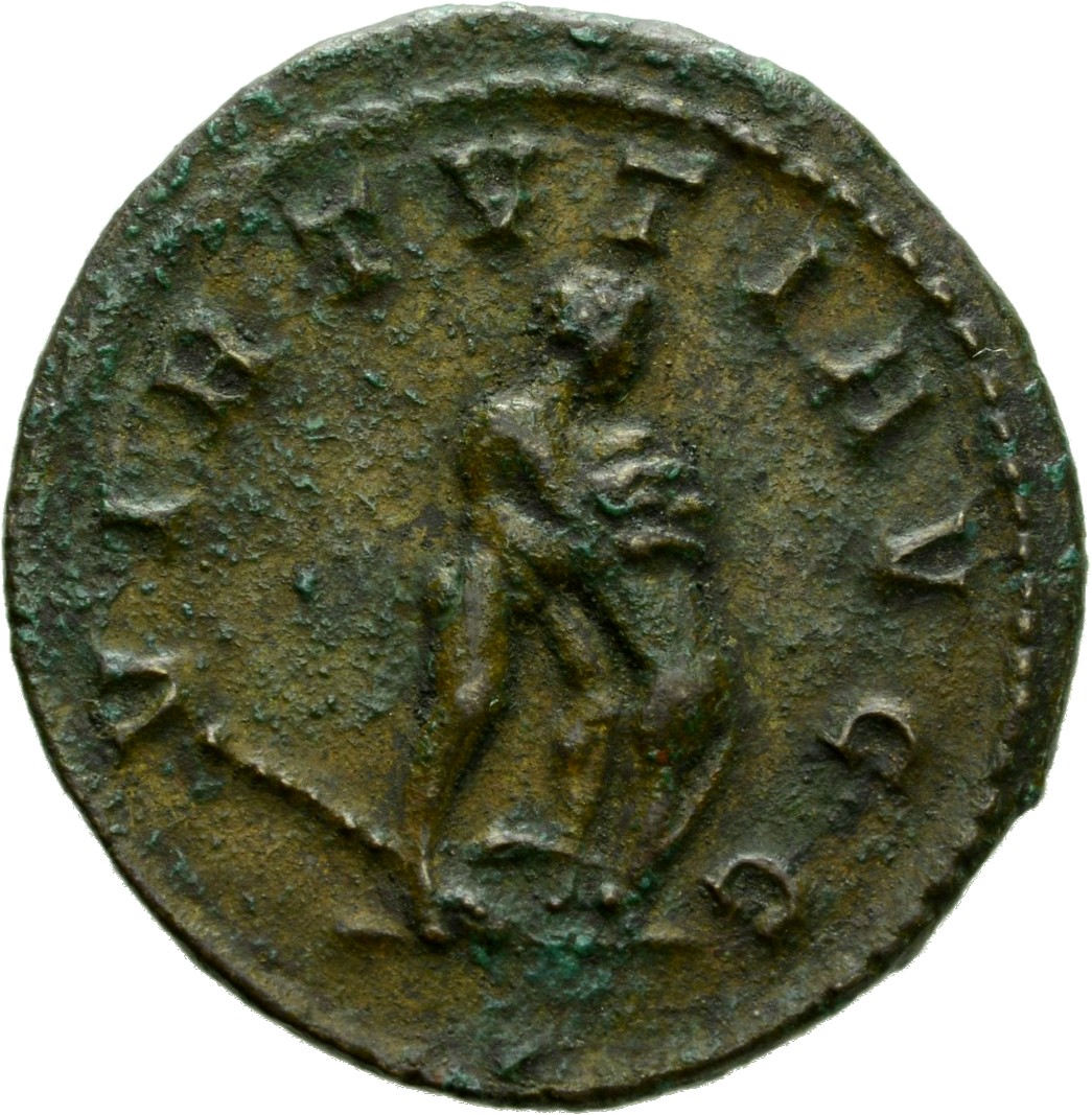 RIC V Diocletian 456 Maximian reverse, Hercules, standing right, strangling lion; behind, club