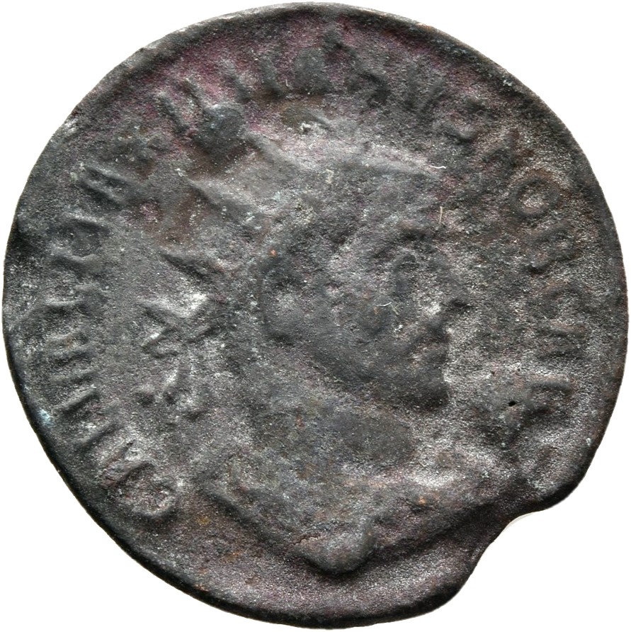 RIC V Diocletian 713 Maximian obverse, Bust of Galerius, radiate, draped, right, or bust of Galerius, radiate, draped, cui...