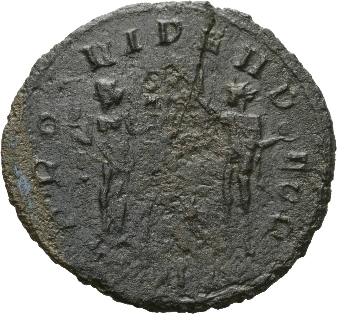 RIC V Florian 111 Florianus reverse, Providentia, draped, standing right, holding ensign in each hand, facing Sol, standin...
