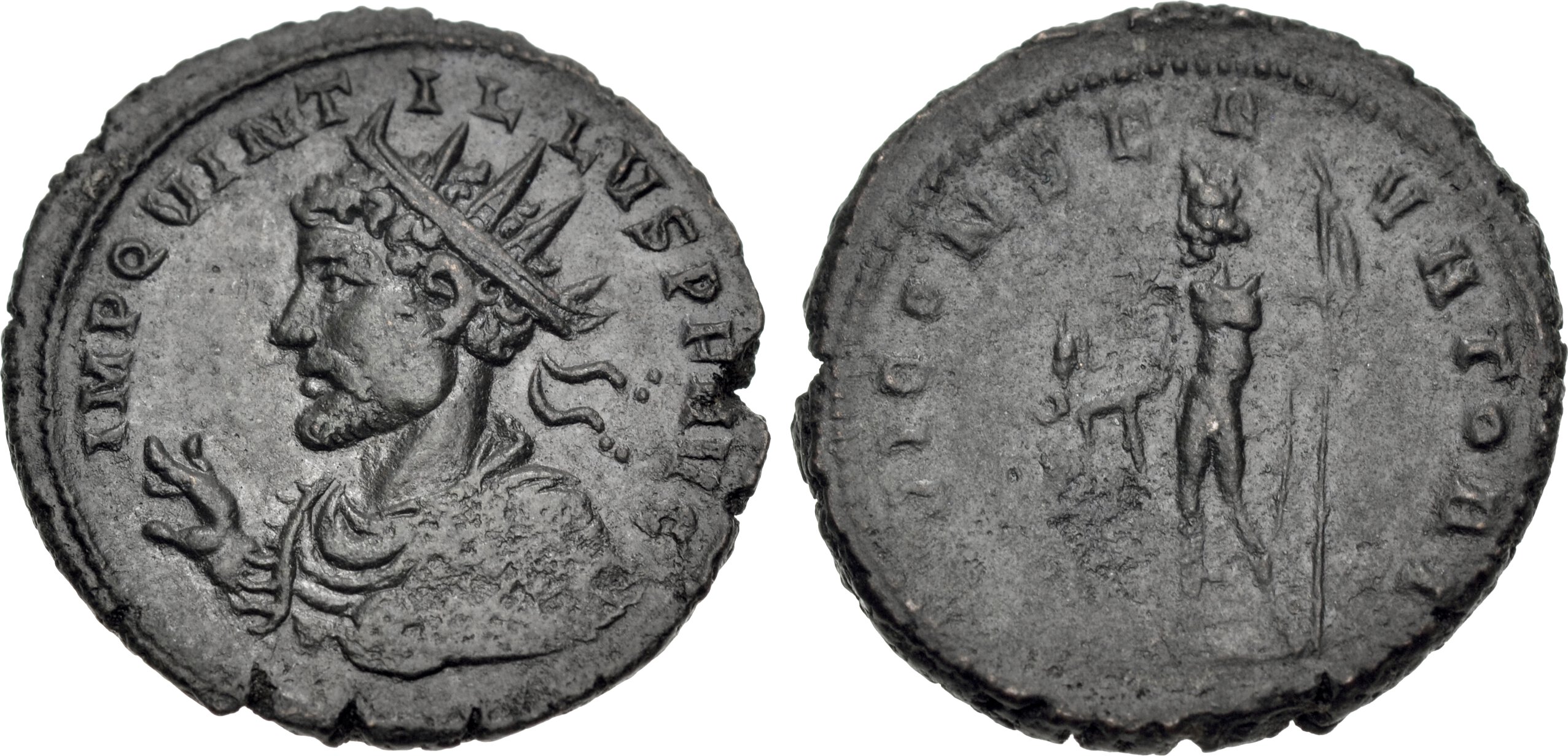 RIC V Florian 84 Florianus obverse, Bust of Florian, radiate, draped, right