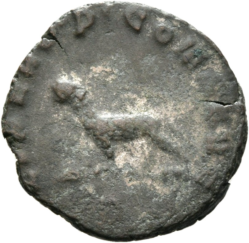RIC V Gallienus 230 Gallienus reverse, Panther, walking right or left