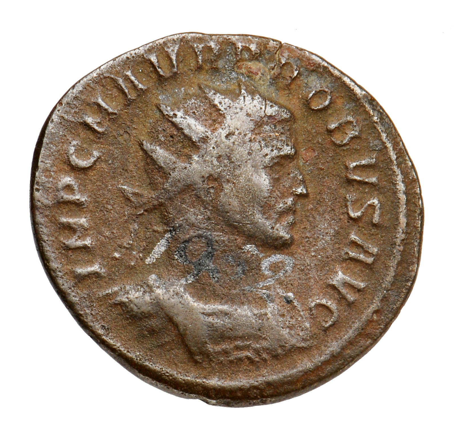RIC V Probus 150 Probus obverse, Bust of Probus, radiate, draped, right or bust of Probus, radiate, cuirassed, right